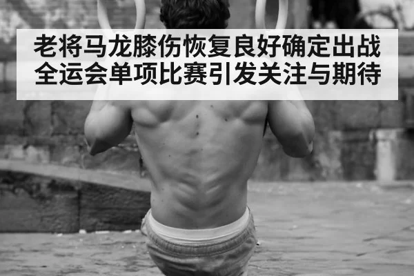 老将马龙膝伤恢复良好确定出战全运会单项比赛引发关注与期待